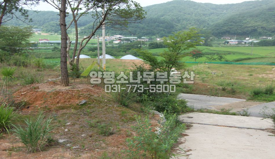 양평군 용문면 중원리 단지 초입/토목공사90%