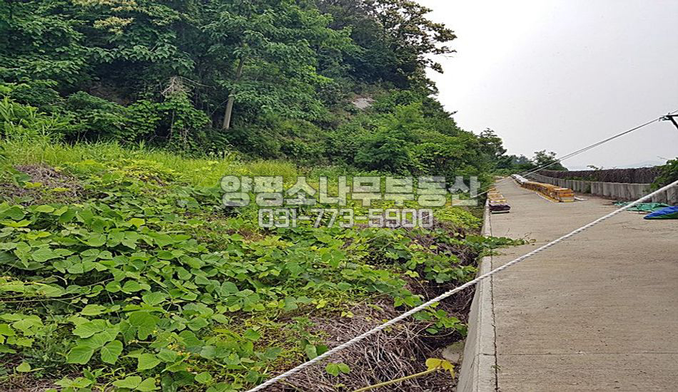 양평군 강상면 병산리 고속도로 접도구역..묫자리 추천