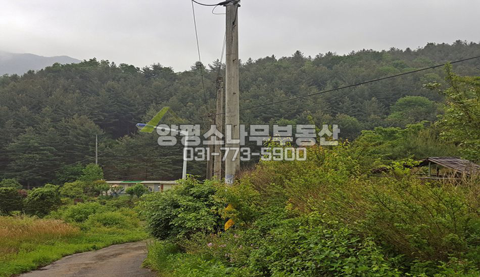 양평군 강하면 항금리 원형질 묫자리