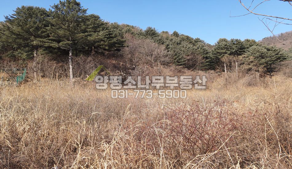 양평군 서종면 명달리 명달리 남향필지