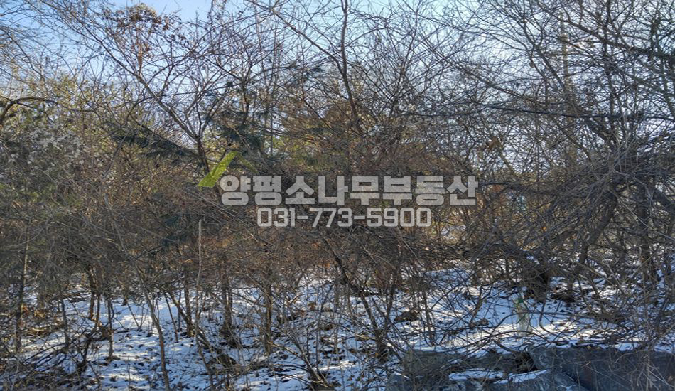 양평군 서종면 서후리 깊숙한곳 단지내..분할가능