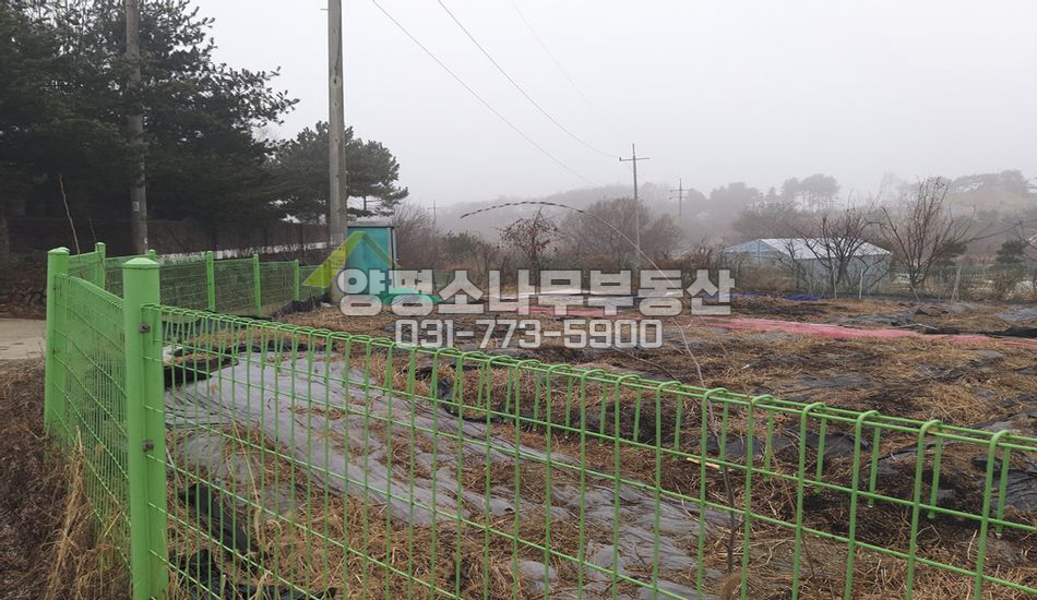 양평군 강하면 전수리 마을 안 편한 농지/진흥구역