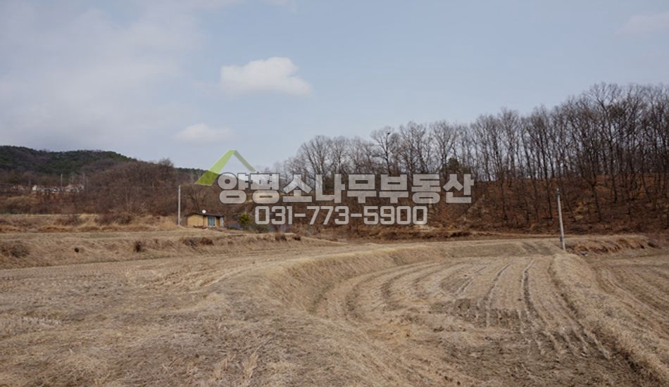 양평군 지평면 송현리 평지 남향 접근성 좋은땅