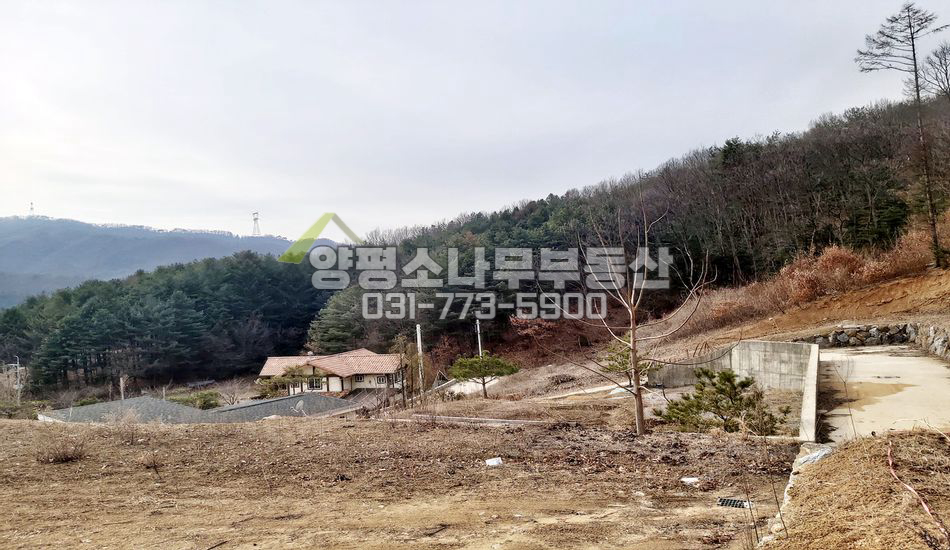 양평군 강하면 항금리 산자락 남향 전망트인 곳