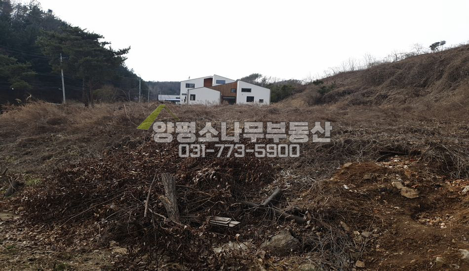 양평군 용문면 덕촌리 1억대 토지 산자락 남향/조현초
