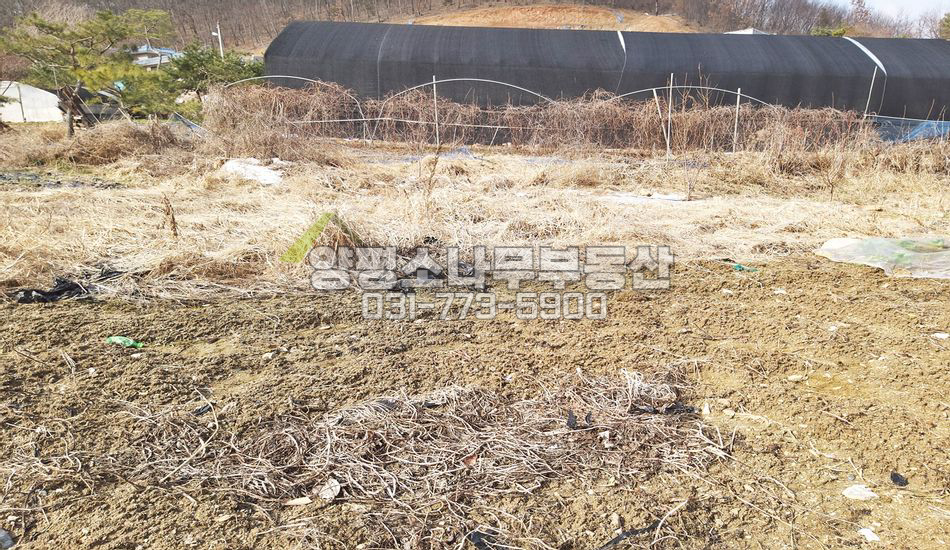 광주시 퇴촌면 영동리 분할하기 좋은땅/창고有
