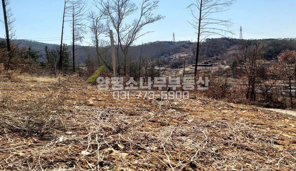 양평군 지평면 대평리 완경사지/토목요함/마을상단