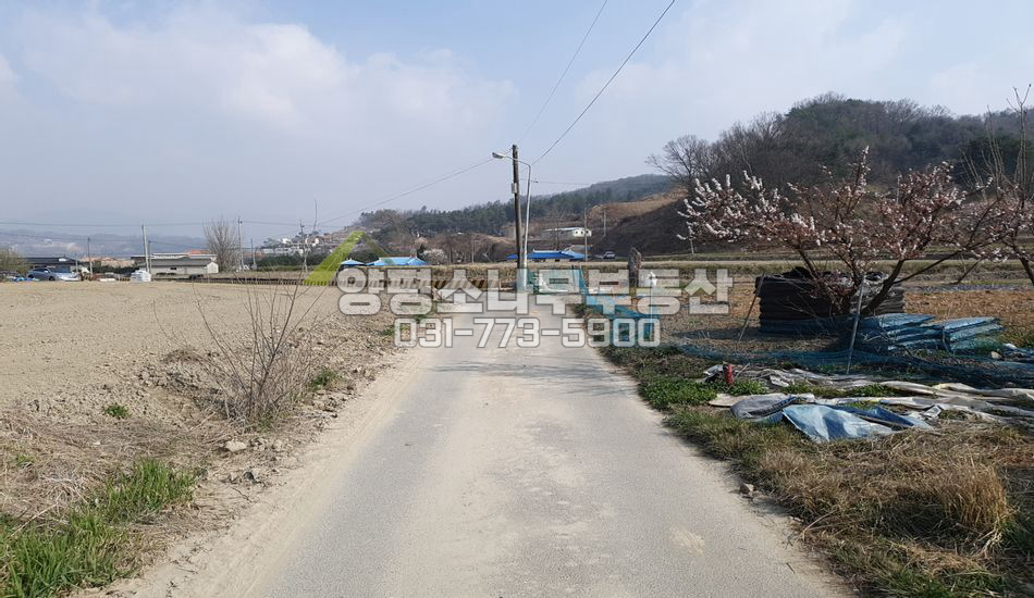 양평군 강하면 전수리 자연스런 마을 평지/지목 대 