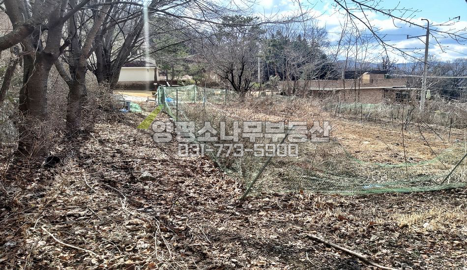 양평군 양서면 대심리 대심리 깊숙한 곳 아스라이 강조망
