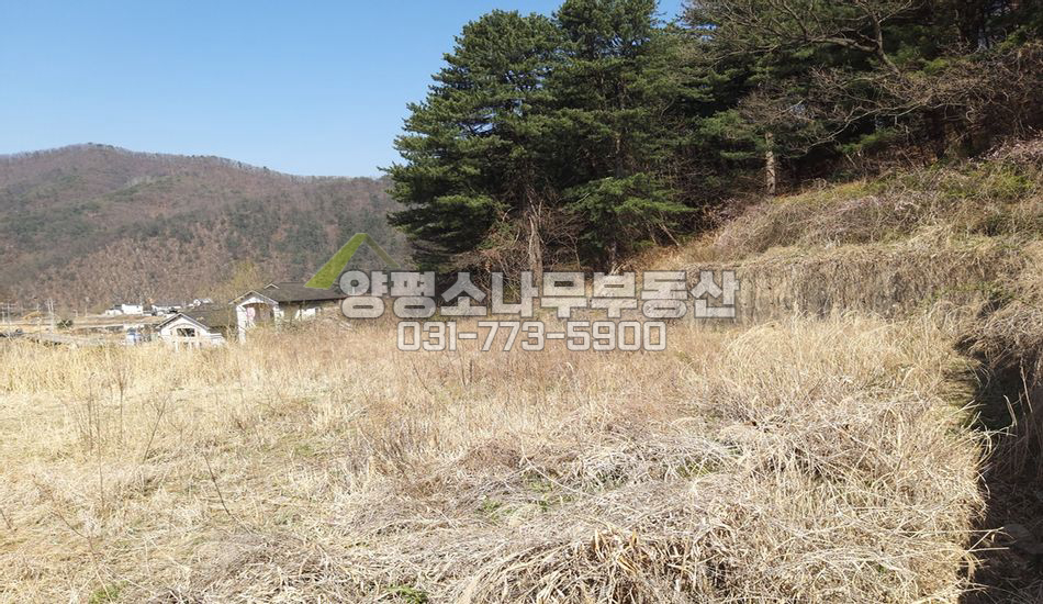 양평군 서종면 도장리 지방도 접근성 좋은 곳 산자락