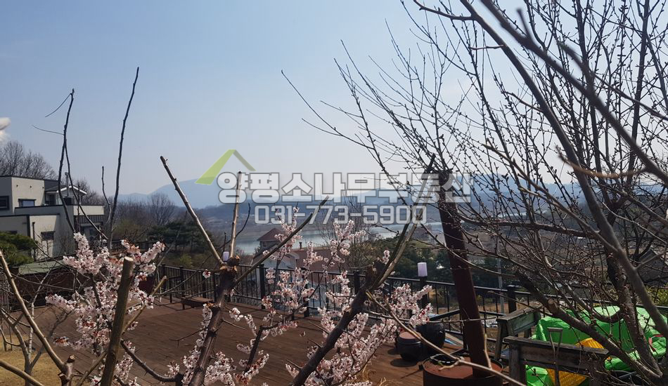 양평군 강상면 교평리 교평리 네모반듯 강조망 필지