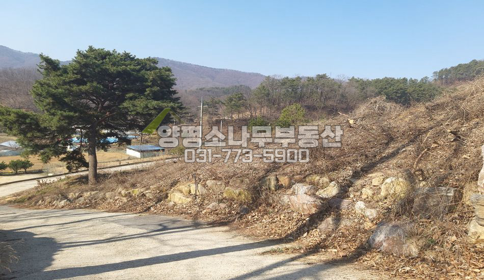 양평군 강상면 송학리 [보류]경관좋은 자연스런 원형질
