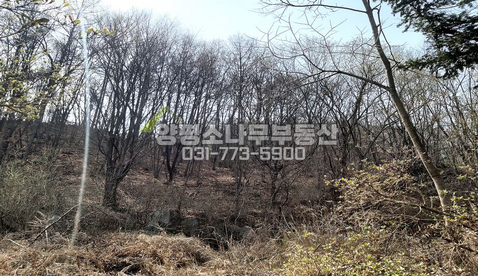 양평군 강상면 세월리 토목완료 된 경관좋은땅