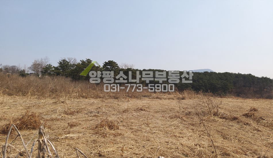 양평군 양평읍 회현리 군부대 인근 원형질 토지