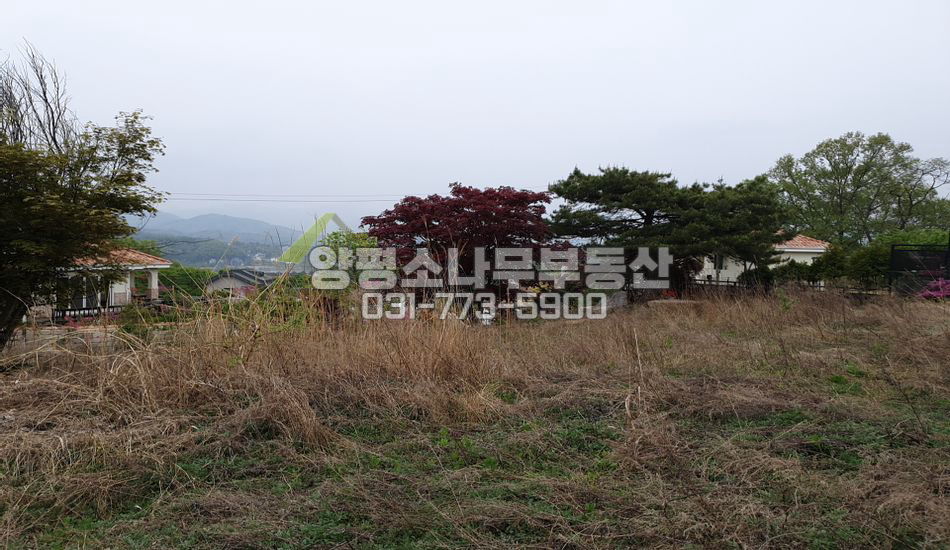 양평군 강하면 전수리 아늑한 분위기 강조망