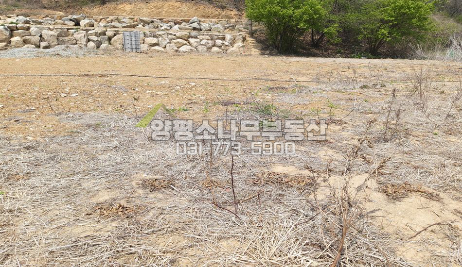 양평군 용문면 덕촌리 평지 단지형 남향필지