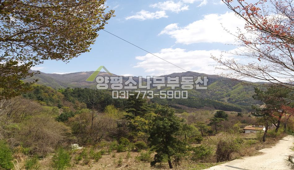 양평군 옥천면 신복리 산세좋은 힐링토지
