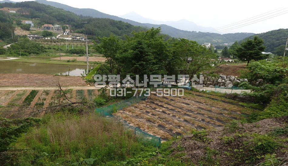 양평군 옥천면 신복리 완경사지 토목완료