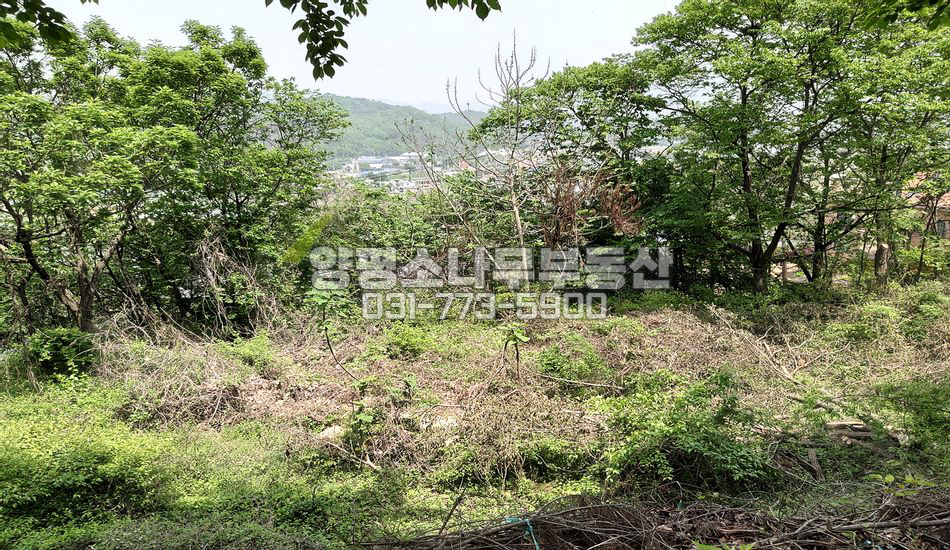 양평군 옥천면 옥천리 옥천면편의시설 도보/편한 단지형