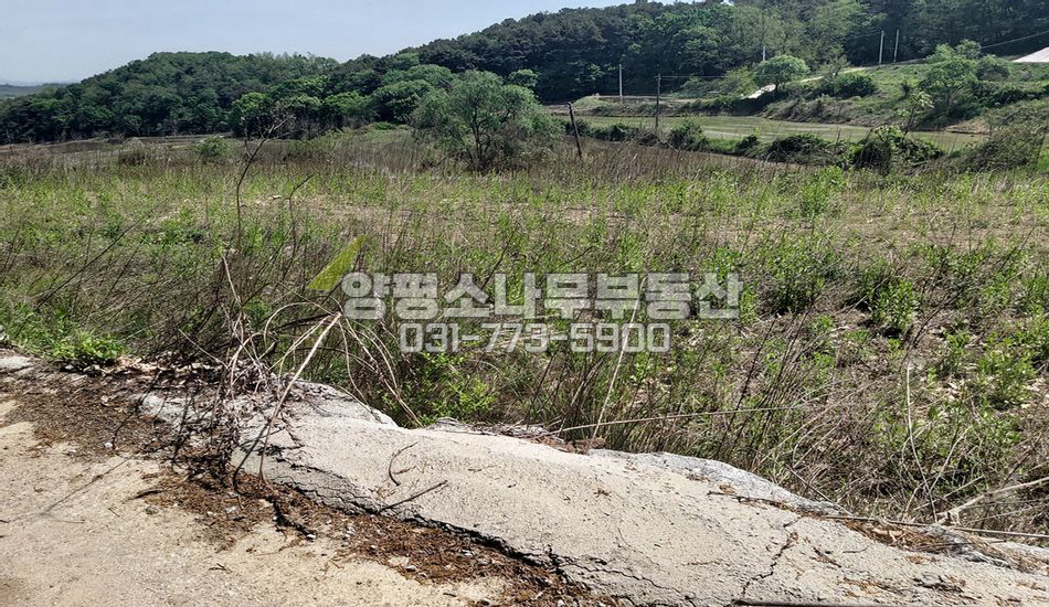 여주시 대신면 도롱리 마을 상단 트인전망