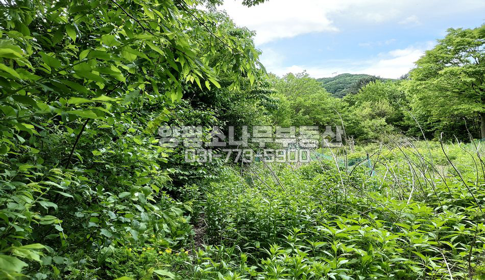 양평군 서종면 서후리 완만한 지형 동향 트인전망/기본토목