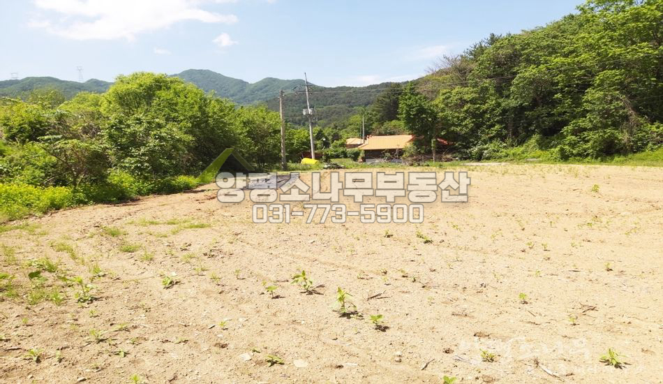 양평군 서종면 서후리 평지 남향 접근성 좋은땅