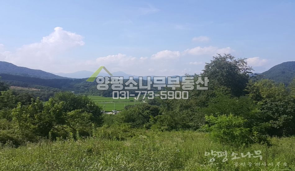 양평군 지평면 국유림을 낀 임야
