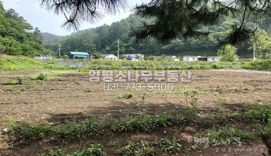 양평군 단월면 봉상리 저렴한 6번국도 인근 농지