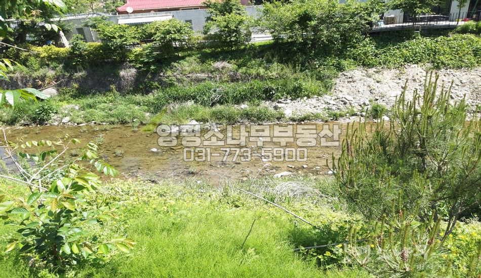 양평군 서종면 수능리 개울 접한 임야/도로불분명