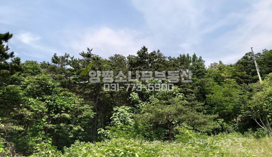 양평군 양평읍 백안리 지대높은 깊숙한곳/펜션밀집지역