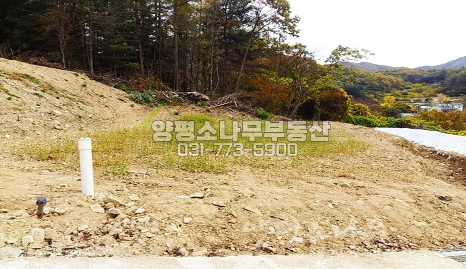 양평군 서종면 정배리 지방도 인근 동남향 전망