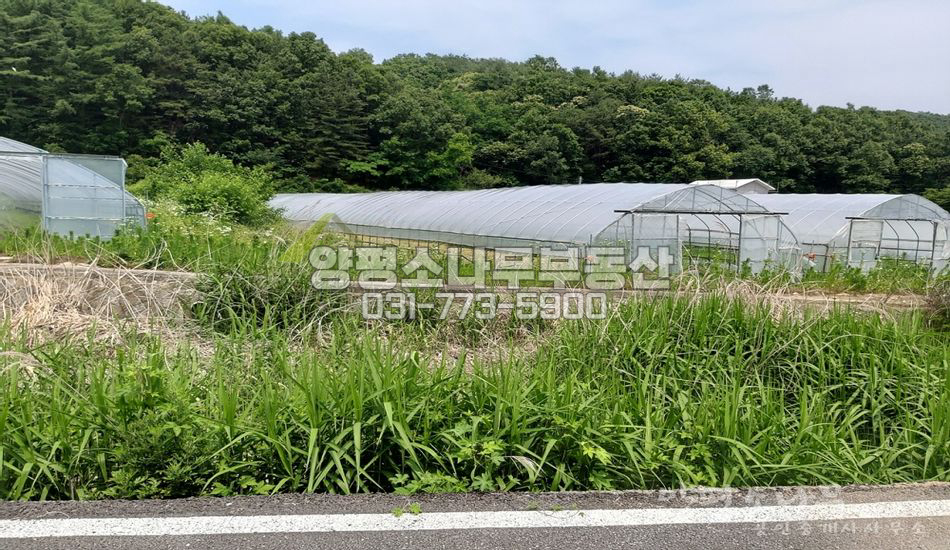 양평군 양동면 매월리 하천 임야접한 필지