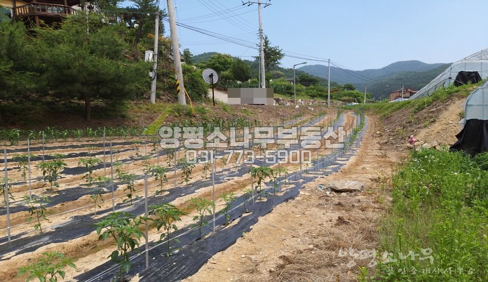 양평군 청운면 갈운리 농사짓기 좋은 터/분할가능