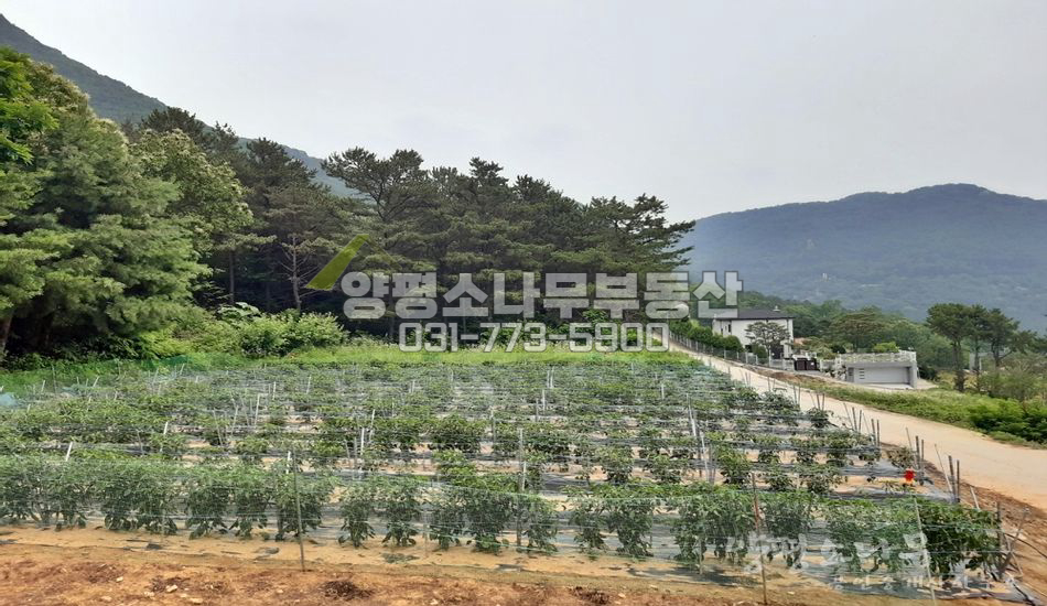양평군 양평읍 백안리 탁트인 남향 전망!!