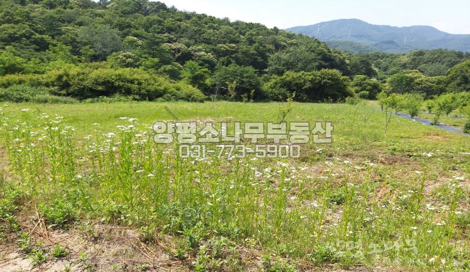 양평군 양동면 매월리 인적드문 마을 깊숙한 곳