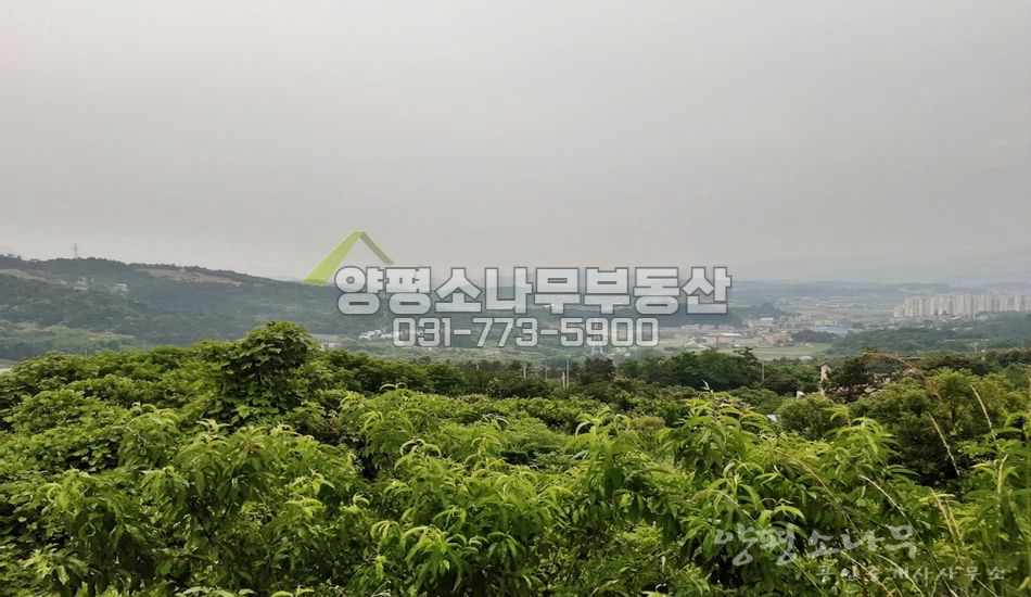 양평군 양평읍 백안리 경관 좋은 남향 필지
