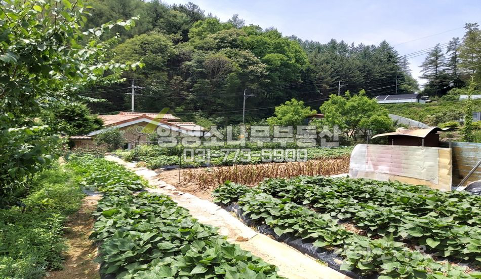 양평군 청운면 갈운리 자연스런 토목완료 남향필지
