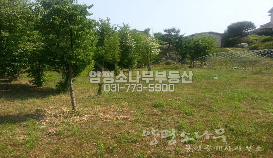 양평군 용문면 다문리 2차선 대로변 단지초입