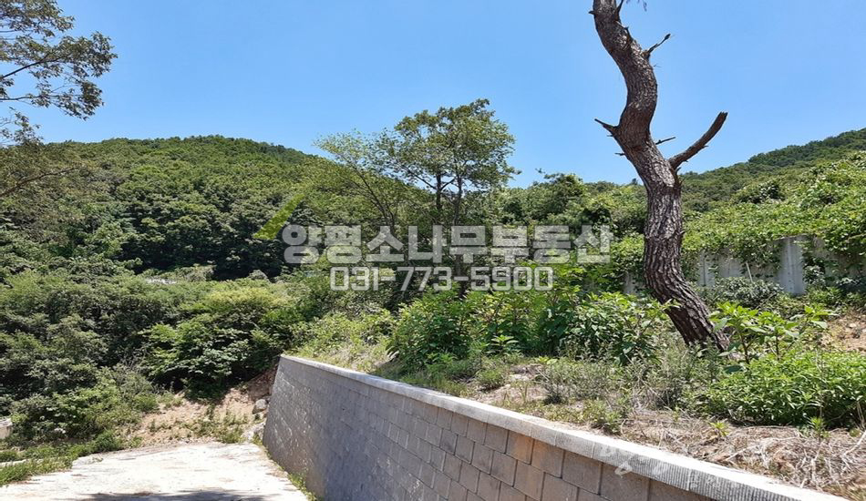 양평군 서종면 수능리 단지상단 경관좋은 필지/보강토토목