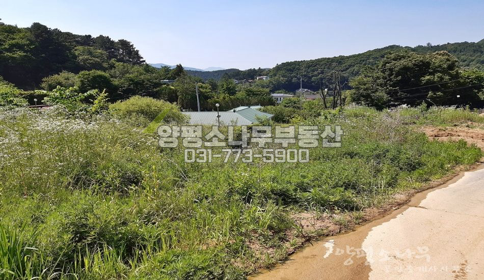 양평군 서종면 수능리 자연스런필지/서양평ic차량5분