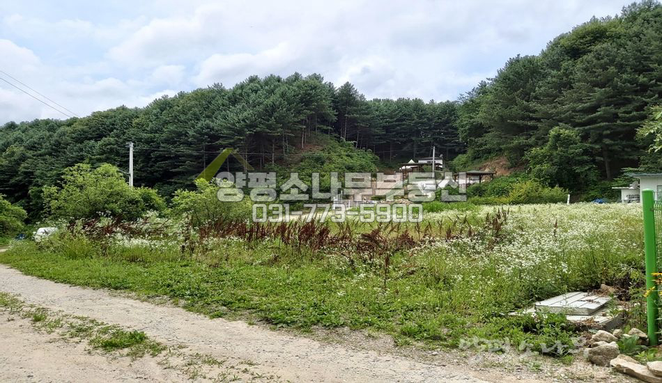 양평군 양동면 계정리 마을 안쪽 저렴한 땅/남향 평탄지