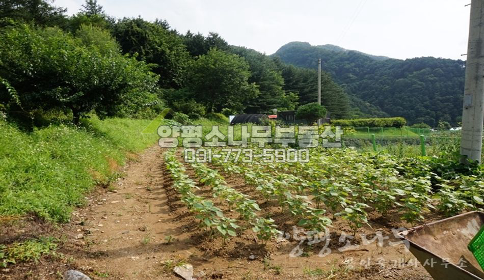 양평군 청운면 갈운리 한적한/농사짓기좋은/평당40만/컨테이너