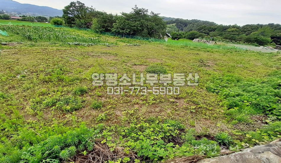 양평군 양평읍 신애리 읍내 접근성 좋은곳/양평역5분