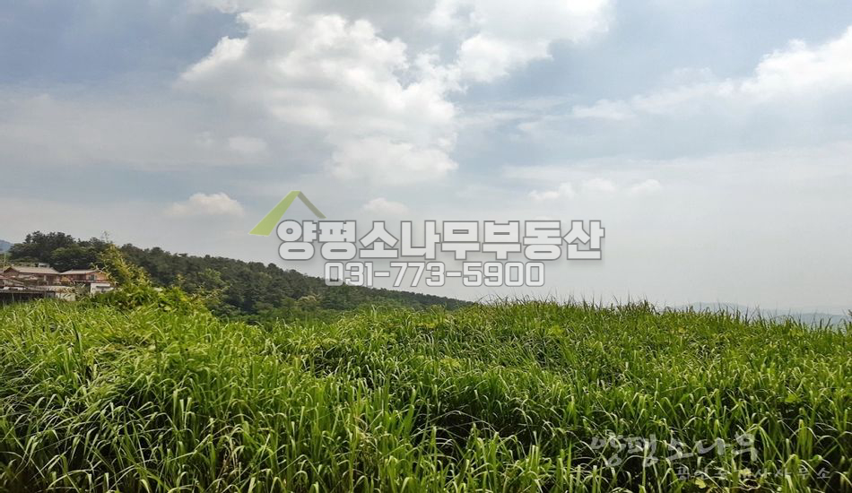 양평군 양평읍 백안리 남향 트인조망/토목완료