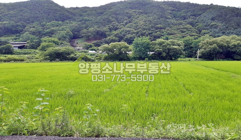 양평군 개군면 석장리 반듯한 진흥구역 농지