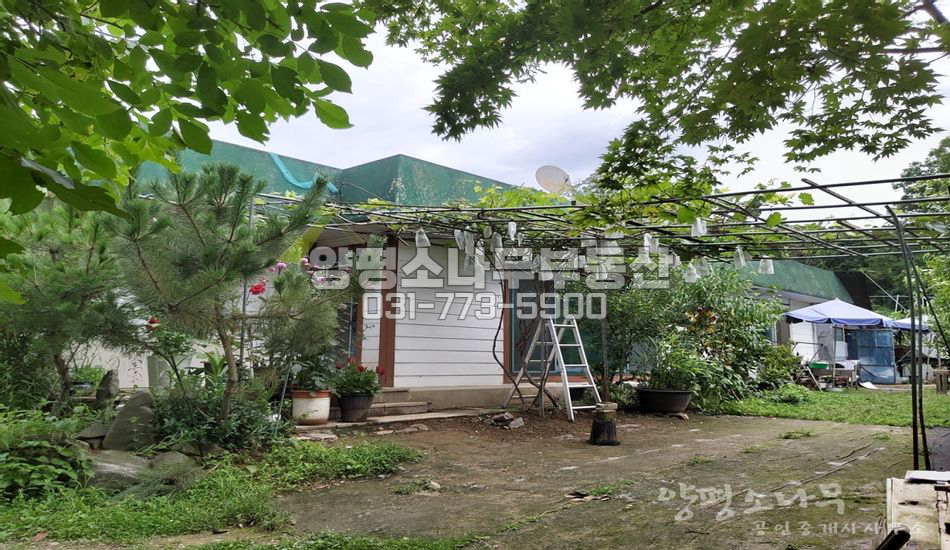 양평군 용문면 삼성리 세대분리 유실수 많은 구옥