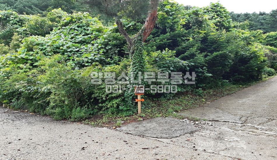 양평군 서종면 정배리 정남향 산자락 경치 좋은곳