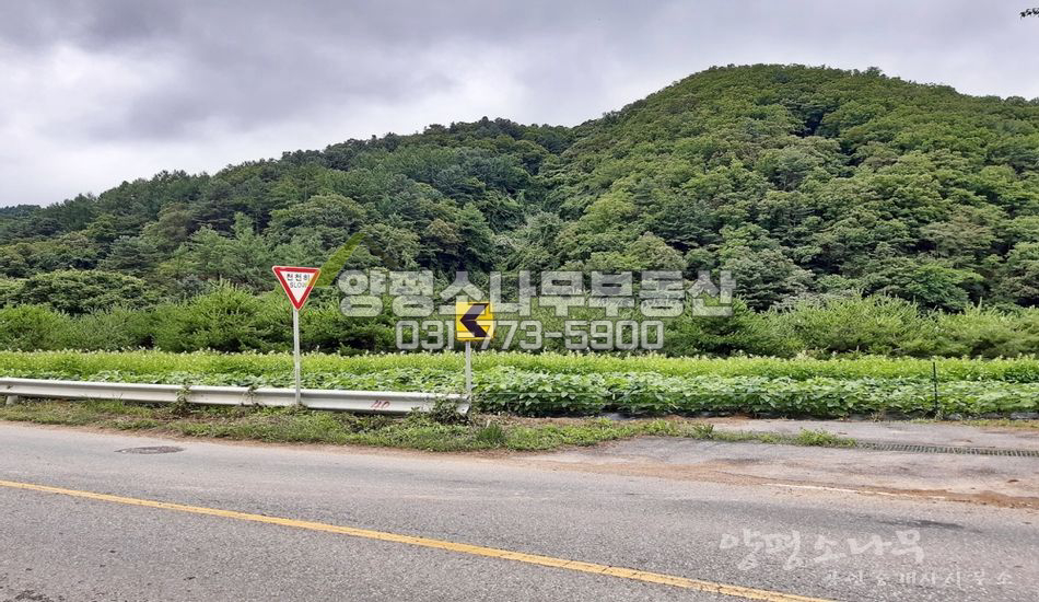 양평군 서종면 도장리 지방도 대로변 접한 땅/비닐하우스,컨테이너