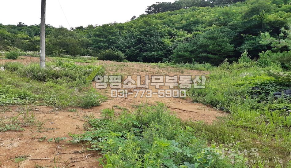 양평군 개군면 하자포리 원형질 임야 분할매매