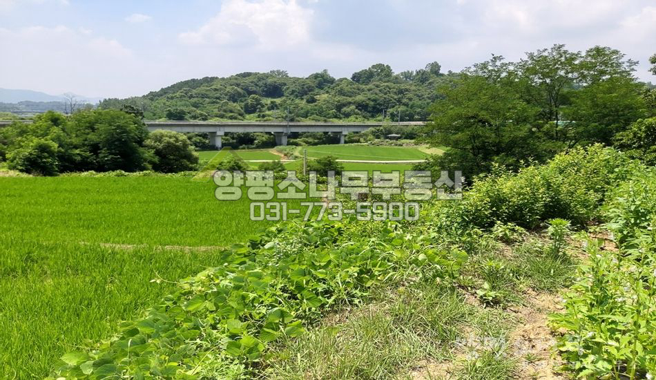 양평군 양평읍 도곡리 마을 안쪽 평지 밭